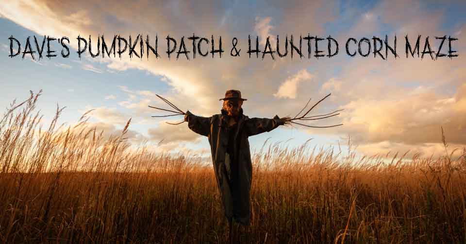 Dave's Pumpkin Patch & Haunted Corn Maze